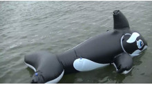 Tetrapod & killer whale float set 001