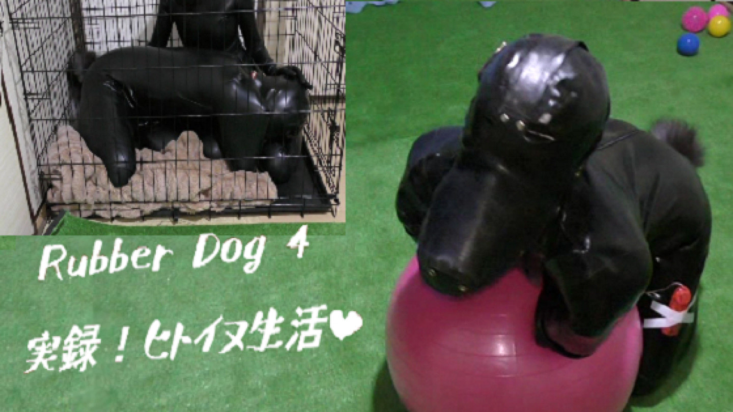 Rubber Dog4 (実録！ヒトイヌ生活)