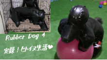 Rubber Dog4 -Real dog's life -