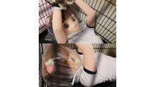 Captured in a cage - Calico cat girl -