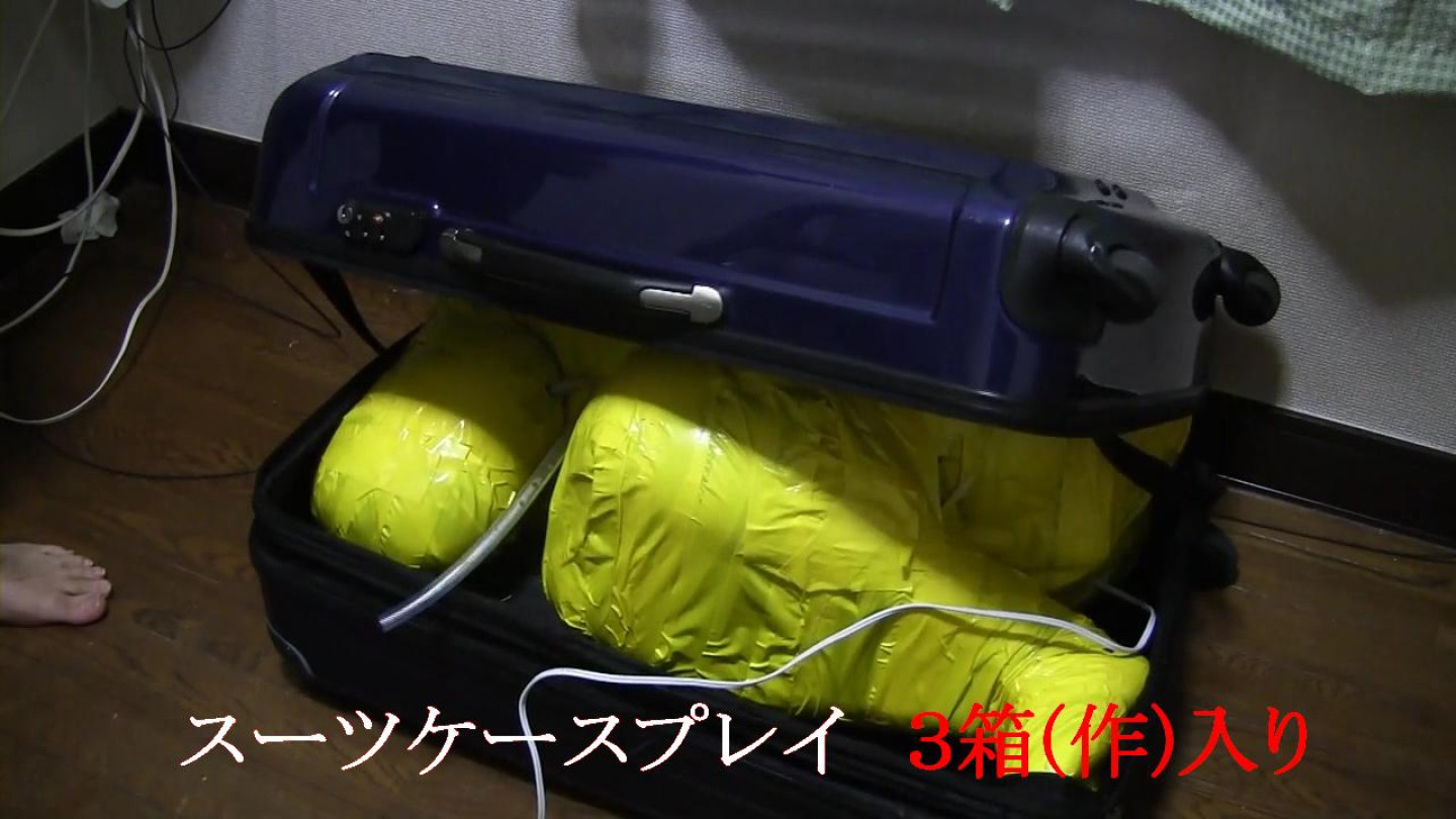 スーツケースプレイ 1.2.3セット