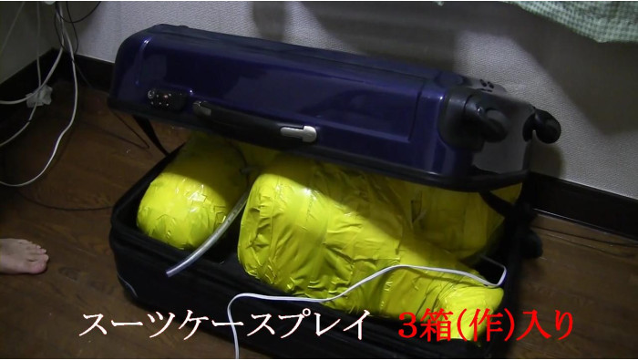 スーツケースプレイ 1.2.3セット