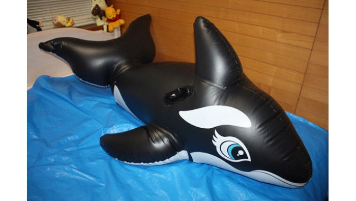 Inflatable Orca suit