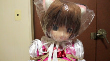 Tied to a chair - Calico cat girl -