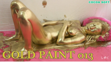 GOLD PAINT ALL sets