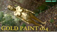 GOLD PAINT ALL sets