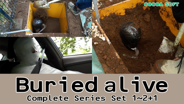 Buried alive Complete Series Set