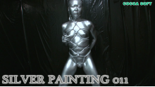 SILVER PAINTING ALL sets