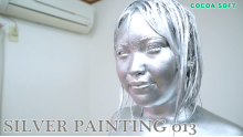 SILVER PAINTING ALL sets