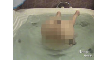 Bathtub UW scene clip 8 (サクラ2)

