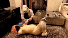 ボテ腹ヒトイヌ志願＋肉便器志願
