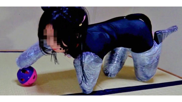 幼馴染とヒトネコ遊戯
