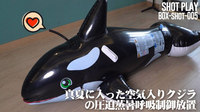 真夏に入った空気入りクジラの圧迫蒸暑呼吸制御放置
