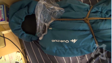Bunny breathplay in down sleeping Bag
