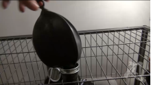 Cage Gas Mask Bunny
