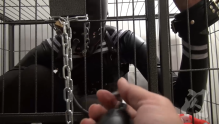 Cage Gas Mask Bunny
