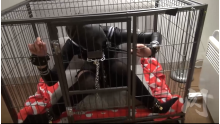 Cage Gas Mask Bunny
