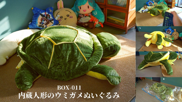 内蔵人形のウミガメぬいぐるみ