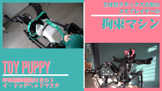Latex Coser or Toy Puppy