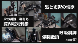 黒と光沢の情欲