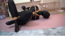ZENTAI ヨガ フィットネスボール＆電撃訓練
