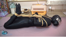 ZENTAI ヨガ フィットネスボール＆電撃訓練
