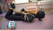 ZENTAI ヨガ フィットネスボール＆電撃訓練
