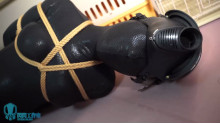 ZENTAI ヨガ フィットネスボール＆電撃訓練
