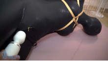 ZENTAI ヨガ フィットネスボール＆電撃訓練
