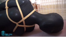 ZENTAI ヨガ フィットネスボール＆電撃訓練
