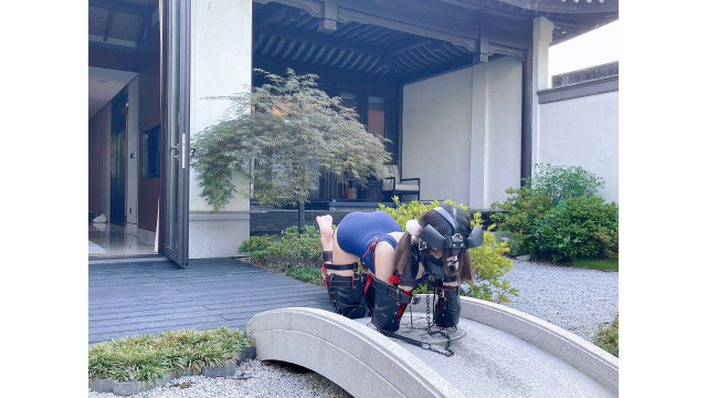 庭の人犬飼育体験