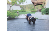 庭の人犬飼育体験