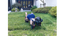 庭の人犬飼育体験