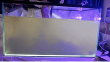 Rem slime fish tank
