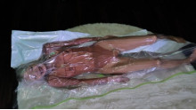Breathplay Torture Girl 12
