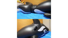 シャチ閉じ込めプレイ
