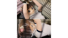 三毛猫娘を閉じ込め
