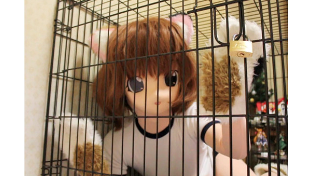 三毛猫娘を閉じ込め
