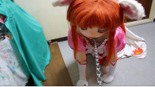 檻で飼われるお姫様

