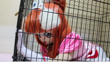 檻で飼われるお姫様
