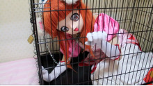 檻で飼われるお姫様
