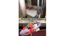 リ◯スへの苦しめ
