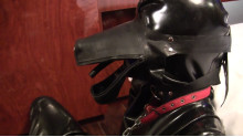 Rubber Dog ーラバーヒトイヌー