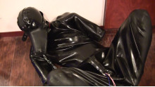Rubber Dog ーラバーヒトイヌー