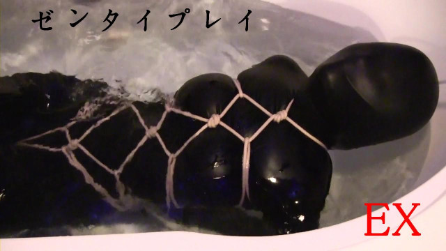 ゼンタイプレイEX
