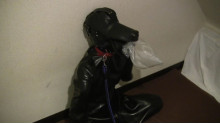 Rubber Dog 2
