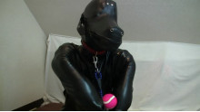 Rubber Dog 3
