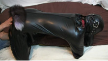 Rubber Dog 3
