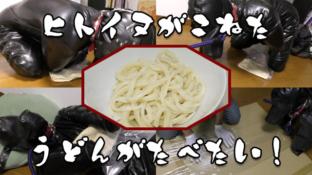 ヒトイヌがこねたうどんがたべたい！
