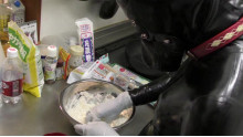 ヒトイヌがこねたうどんがたべたい！
